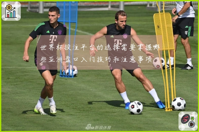 世界杯投注平台的选择需要掌握哪些亚洲盘口入门技巧和注意事项