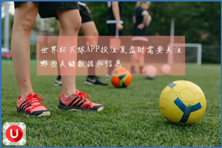 世界杯买球APP投注复盘时需要关注哪些关键数据和信息